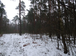 Pukarzów w gm. Żytno, dz. nr 90