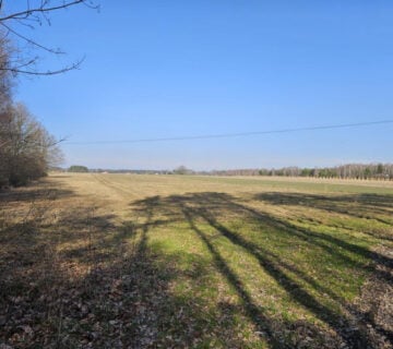 Udział w nieruchomości gruntowej – Podwody Kolonia, gm. Bełchatów