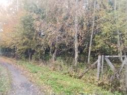 Działka rolna niezabudowana, nr 111/5, Krekole gm. Kiwity