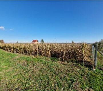 Syndyk sprzeda udział 1/2 w nieruchomości gruntowej Lubstów, dz. 238