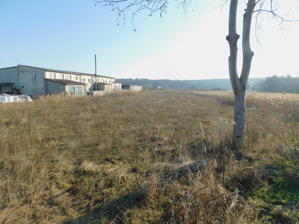 Syndyk sprzeda - Mogielnica, dz. nr 1658 i 1747 — miniatura 3