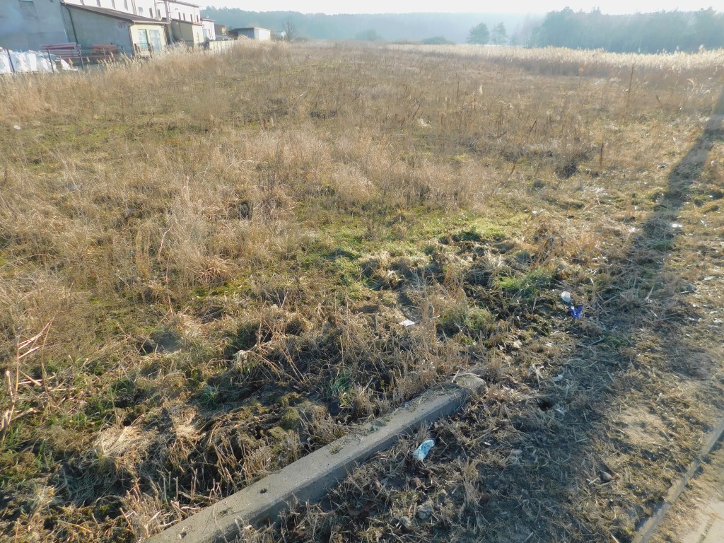Syndyk sprzeda - Mogielnica, dz. nr 1657 i 1746 — miniatura 3