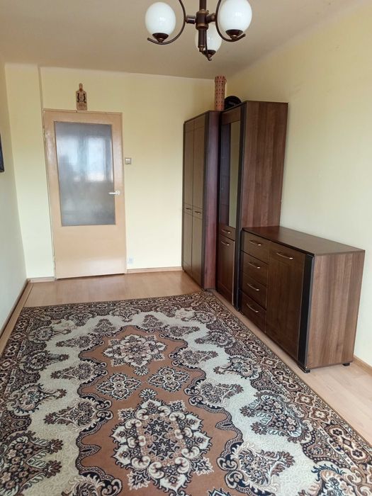 mieszkanie dla singla lub rodziny — miniatura 4