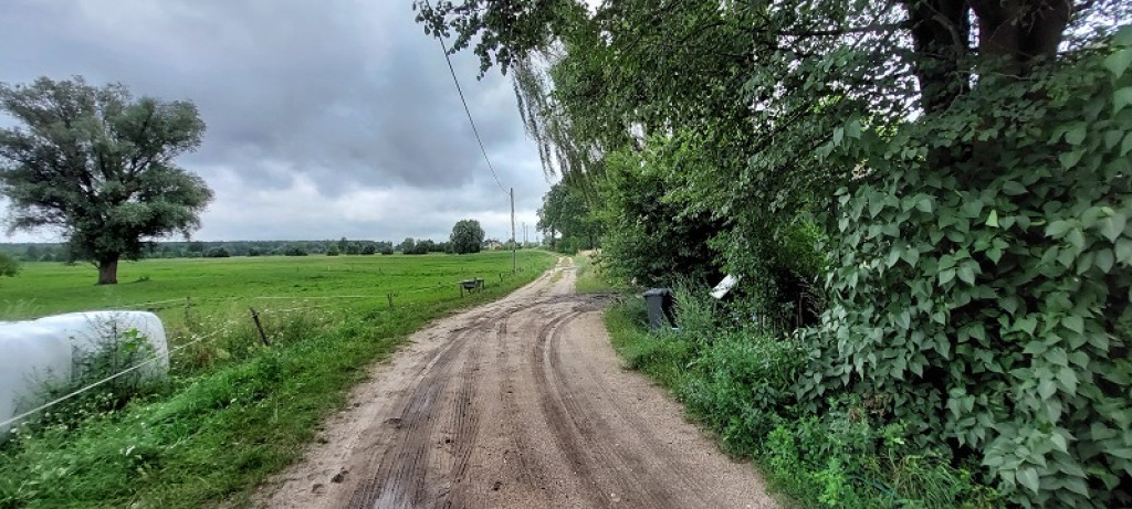 Syndyk sprzeda - Ponikiew Duża