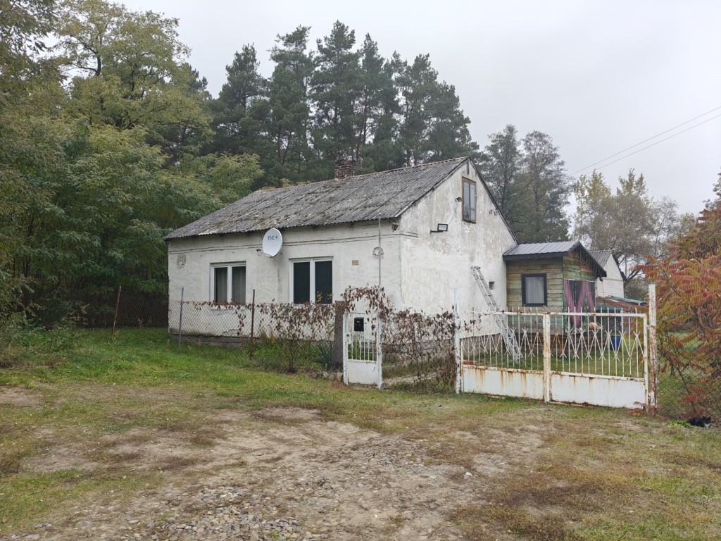 Syndyk sprzeda - Karolew — miniatura 2