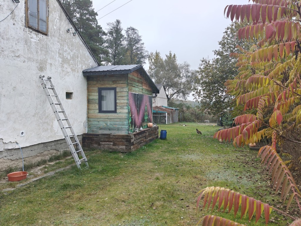 Syndyk sprzeda - Karolew — miniatura 3