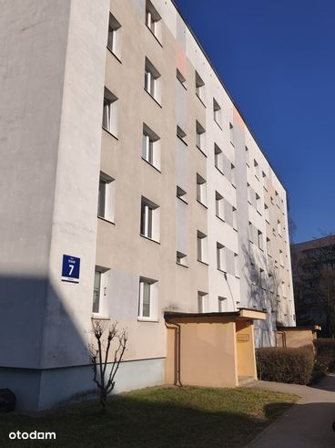 Radom, Urszuli